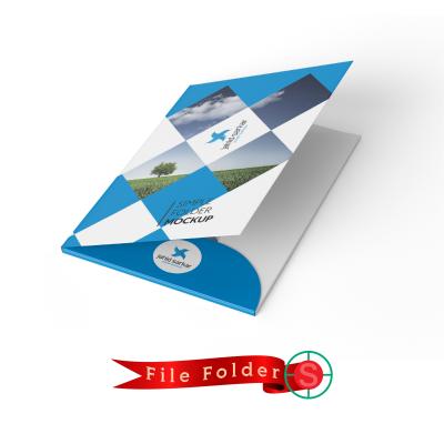 Custom Professional Presentation File Folder – Blue & White Geometric Edition